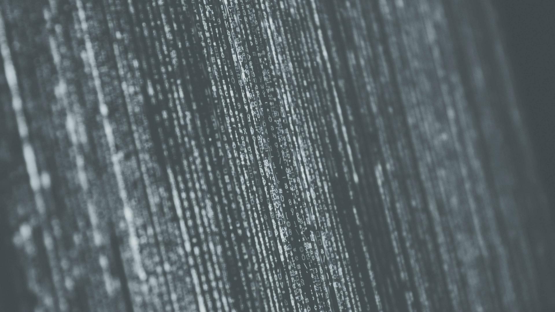 Web-developer