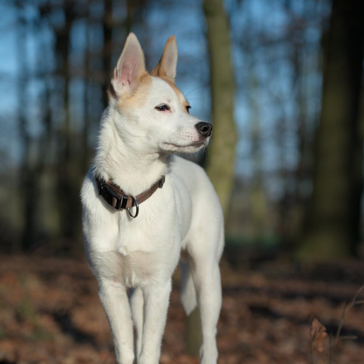 Jamie bei seinen Entdeckungstouren im Teuto